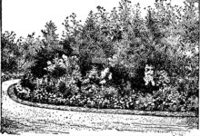 only sales extension