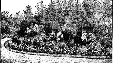 only sales extension